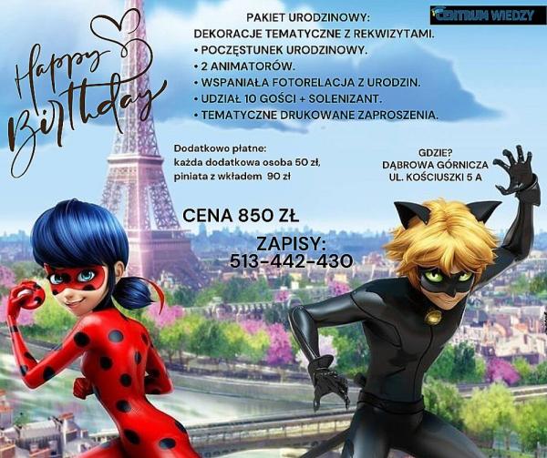 biedronka-i-czarny-kot